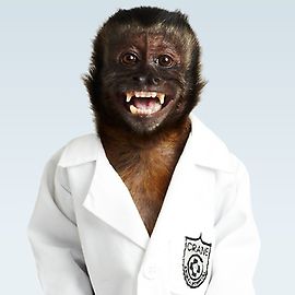 animal_practice_rizzo