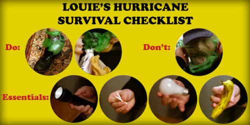 Louie-Hurricane-yellow