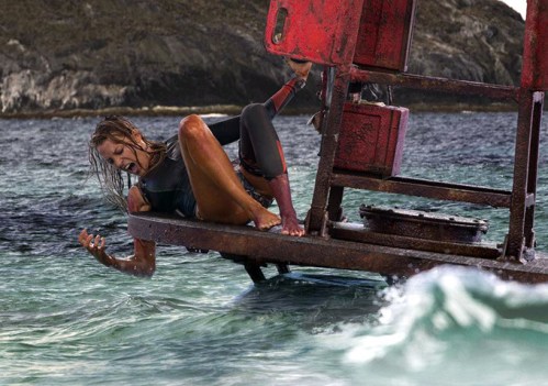 the-shallows