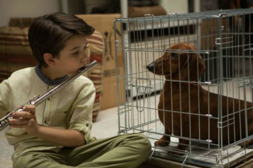 Wiener-Dog-Movie