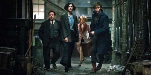 fantastic-beasts-and-where-to-find-them-core-four
